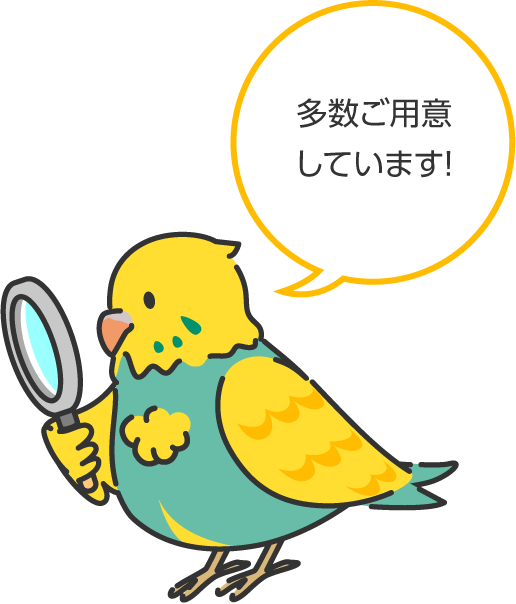 多数ご用意しています！