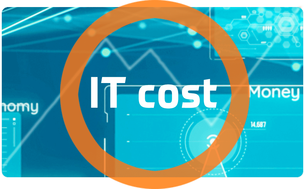 IT cost