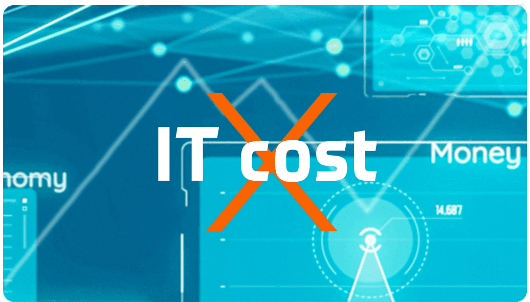 IT cost