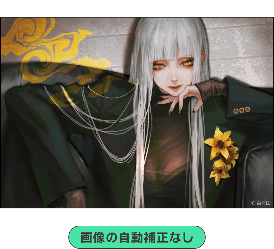 画像の自動補正なし ©百々田