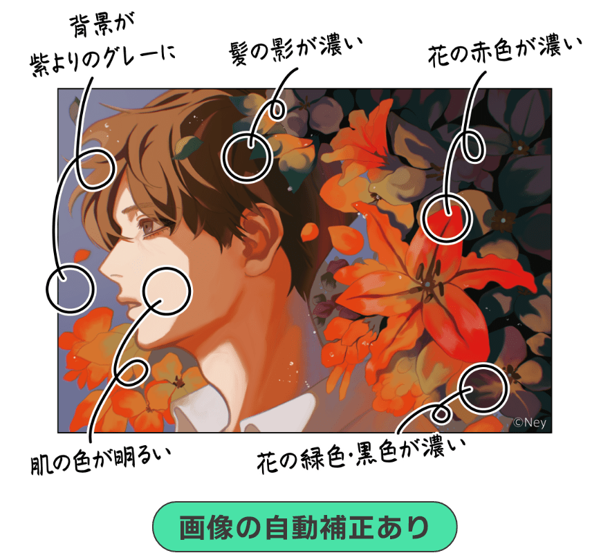 画像の自動補正あり 背景が紫よりのグレーに 髪の影が濃い 花の赤色が濃い 肌の色が明るい 花の緑色・黒色が濃い ©Ney