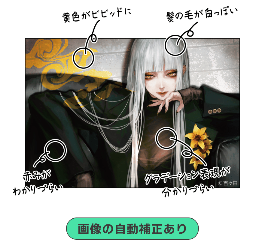 画像の自動補正あり 黄色がビビットに 髪の毛が白っぽい 赤みがわかりづらい グラデーション表現が分かりづらい ©百々田