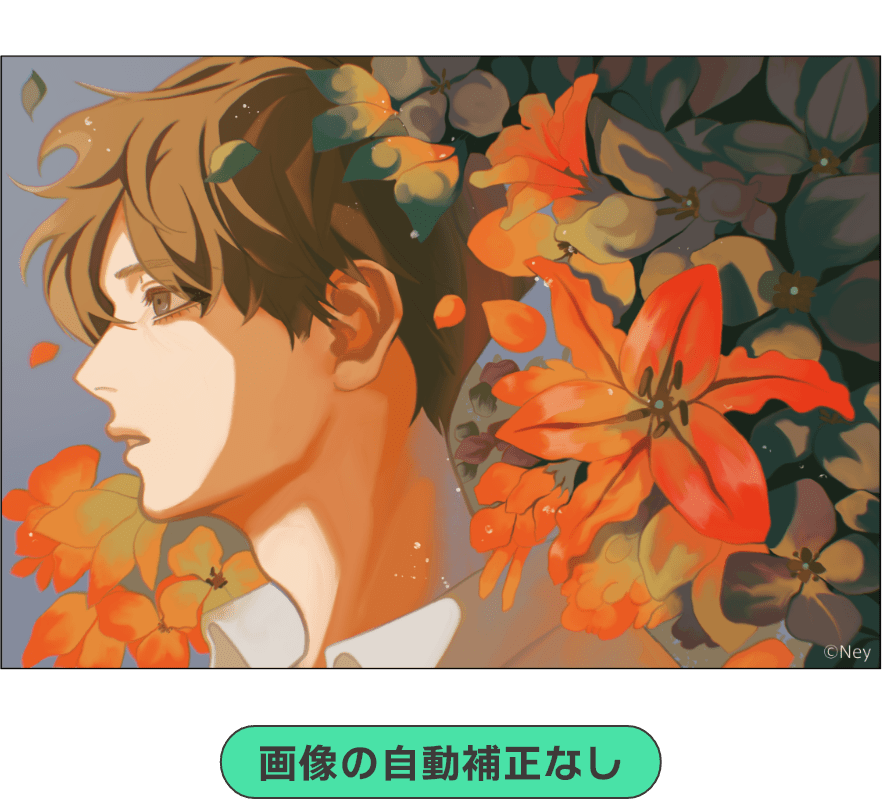  画像の自動補正なし ©Ney