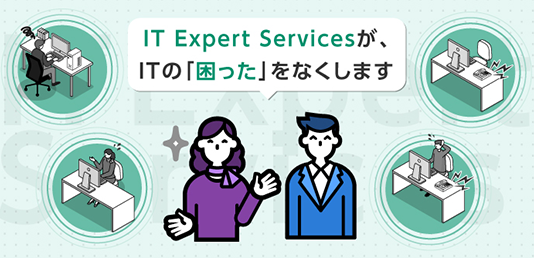 IT Expert Services
