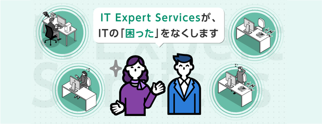 IT Expert Services