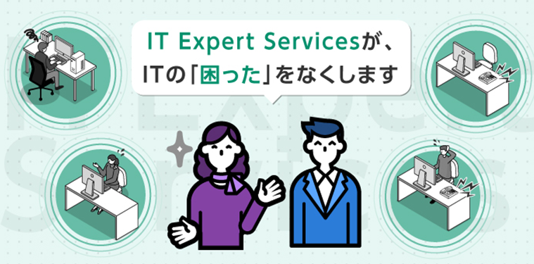 IT Expert Services