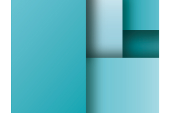 ドキュメントソリューションを提供する会社であること