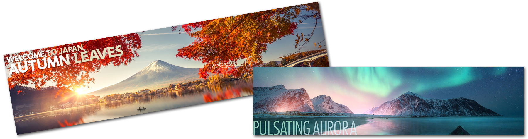 330×1,300 mmの長尺用紙にも対応。