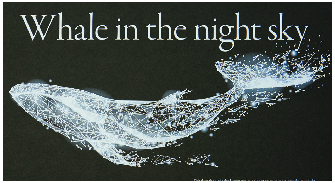 色紙に白をきれいにプリントできます。