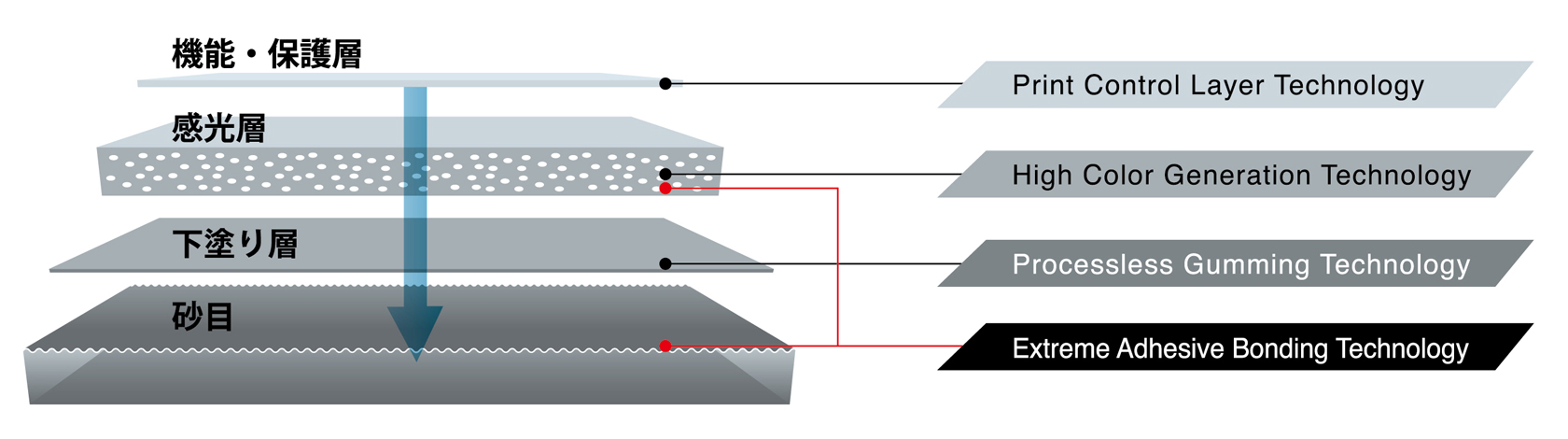 FUJIFILM SUPERIA ZXの断面イメージ