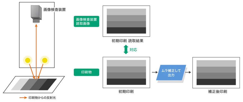 正常な画像検査のイメージ