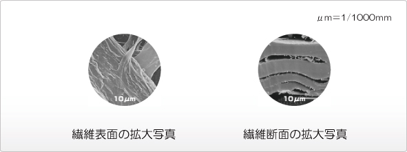 植物繊維拡大写真