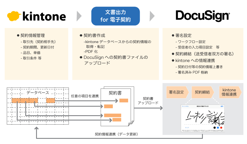 kintoneのデータベース上で管理されている、取引先、契約期間、品目、単価、取引条件等の契約情報をもとに、契約書を作成しPDF化して、DocuSingへアップロードします。DocuSing上で双方の署名が行われて契約が締結されると、署名済みの契約書をkintoneに格納するとともに、kintoneデータベース上の契約日付け等の契約情報を更新します。