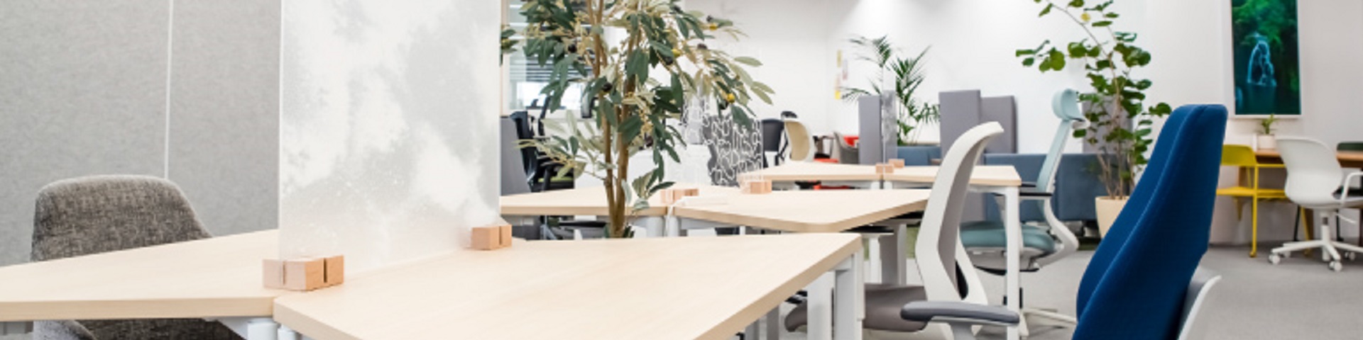 リニューアルされておしゃれになったオフィス