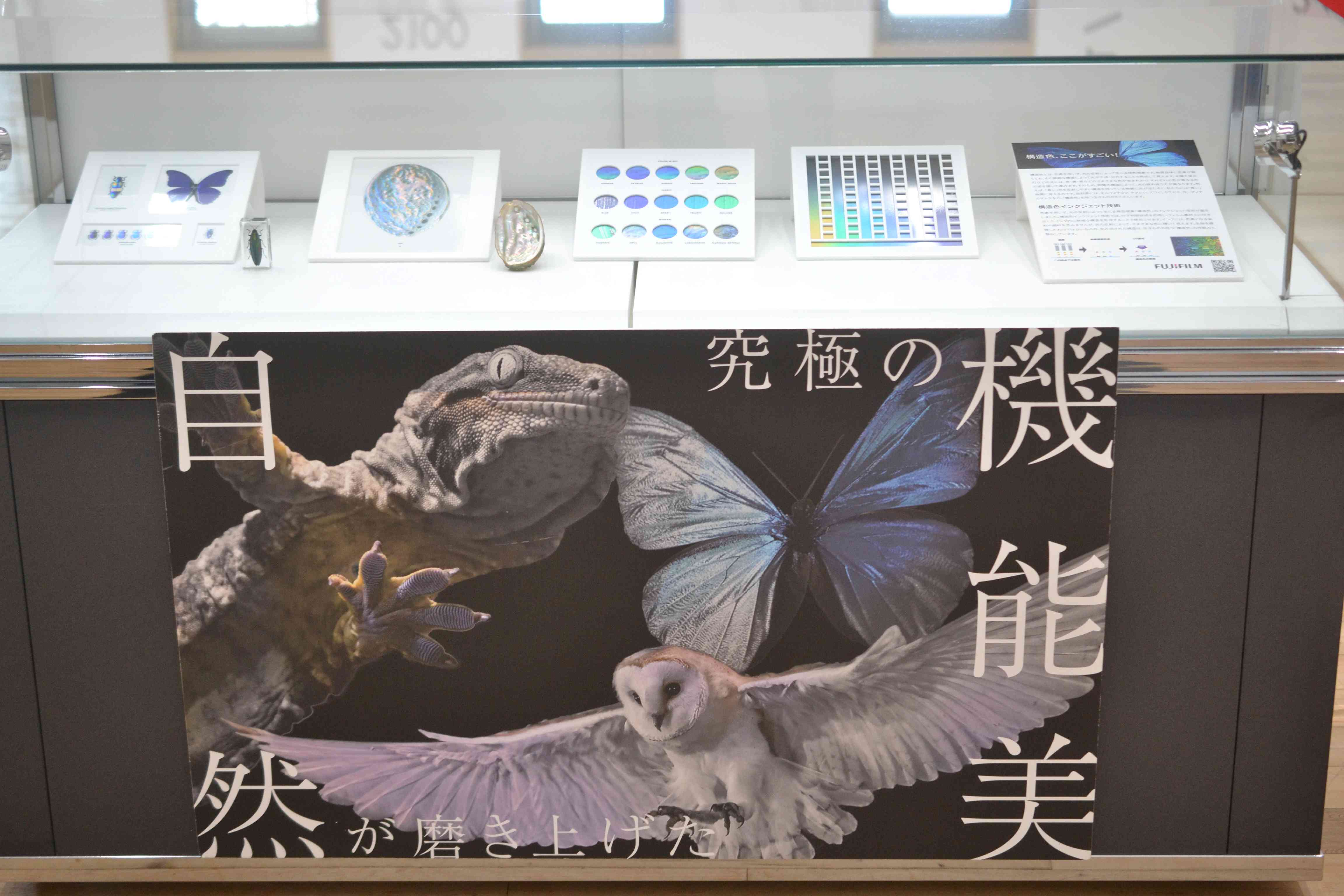 構造色インクジェットプリント : 導入実績 | 富士フイルムビジネス