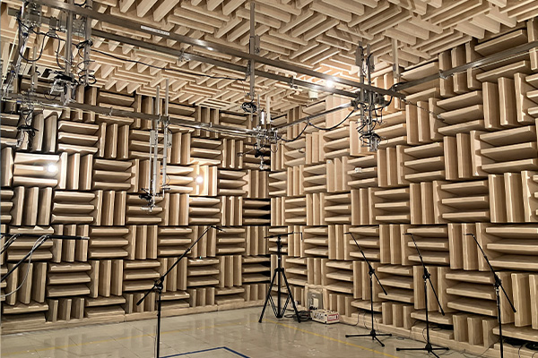 Acoustic Noise