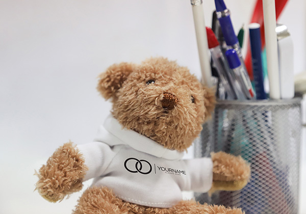 W shutterstock_1278826546 teddy