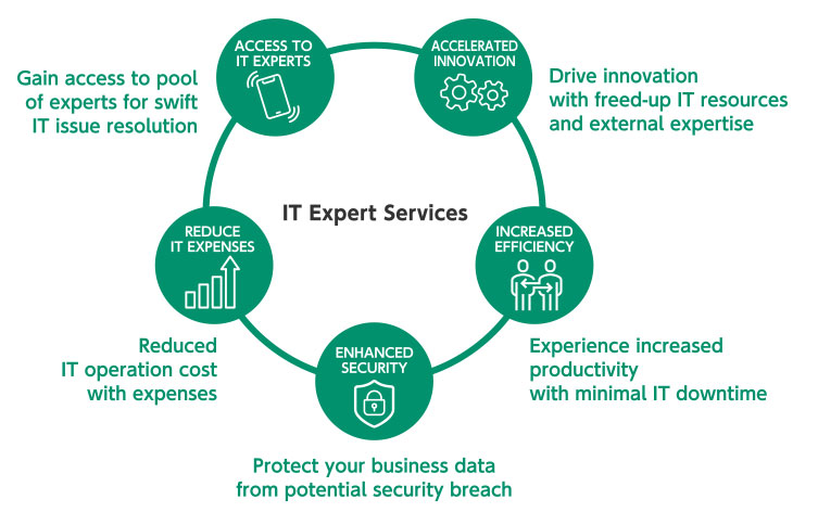 IT Expert Services