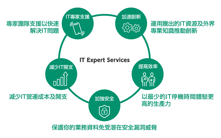 IT Expert Services