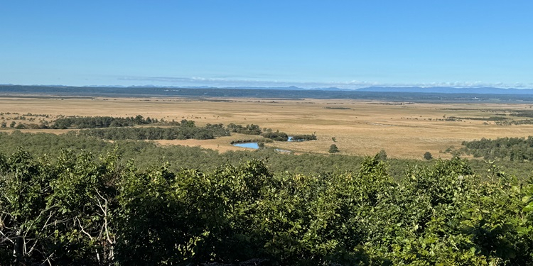 釧路濕原，Hasu Club 的捐贈對象。