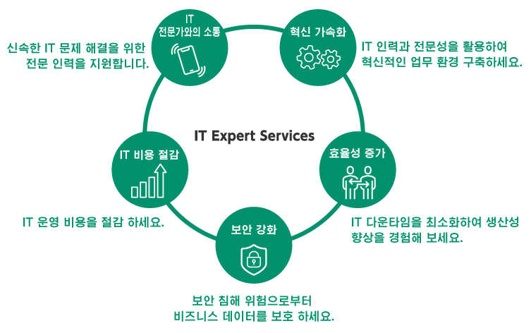 IT Expert Services