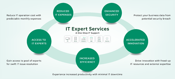 Illustration explaining benefits of IT Expert Services