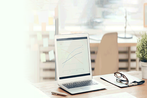 IT Expert Services