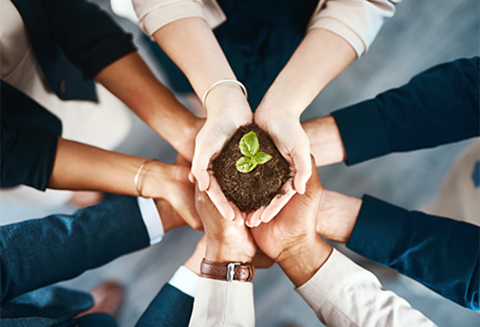 People supporting a small plant with their hands.