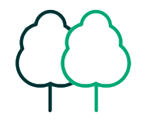 More sustainable options