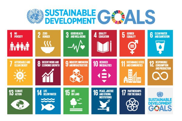 UN SDGs