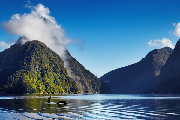 Sustainability Report