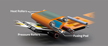 The compact belt-roll fuser