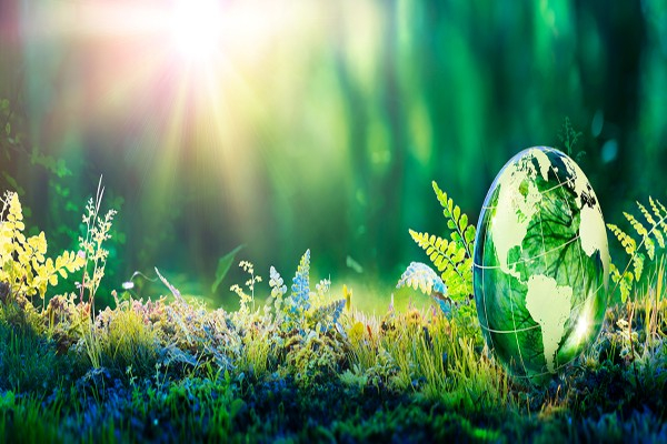 customer satisfaction