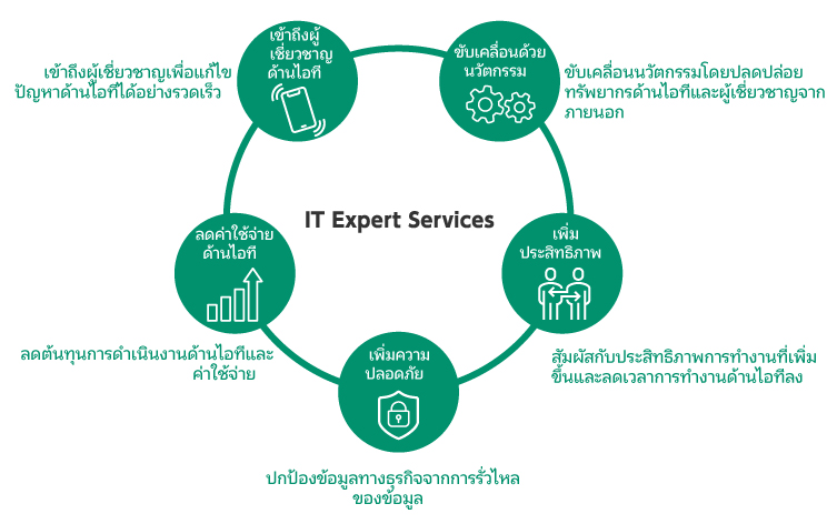 IT Expert Services