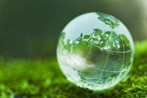 Engagement Global Environment