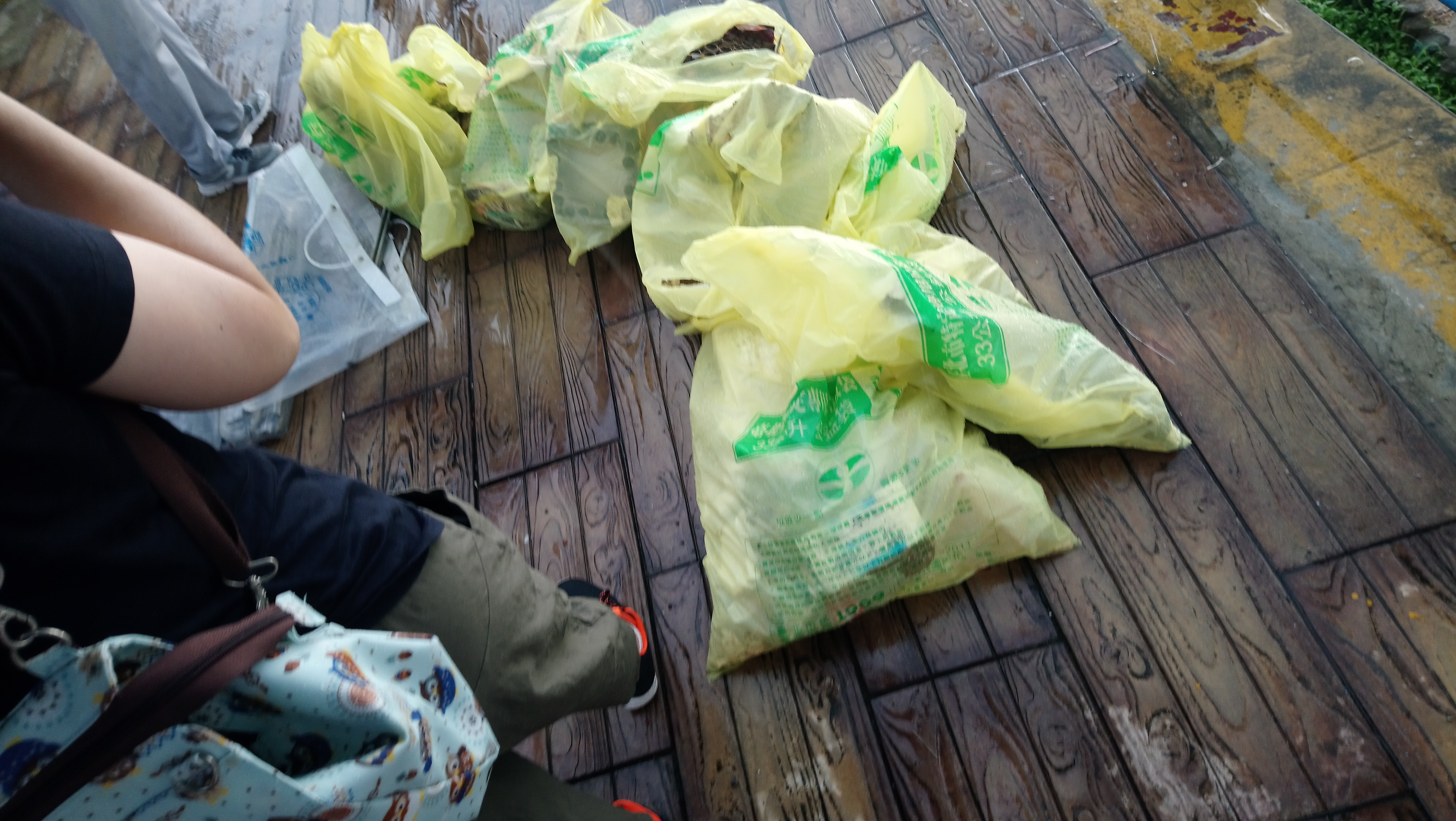 20180818 Social Partication (2)