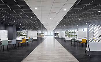 FUJIFILM Business Innovation 辦公室的場景。