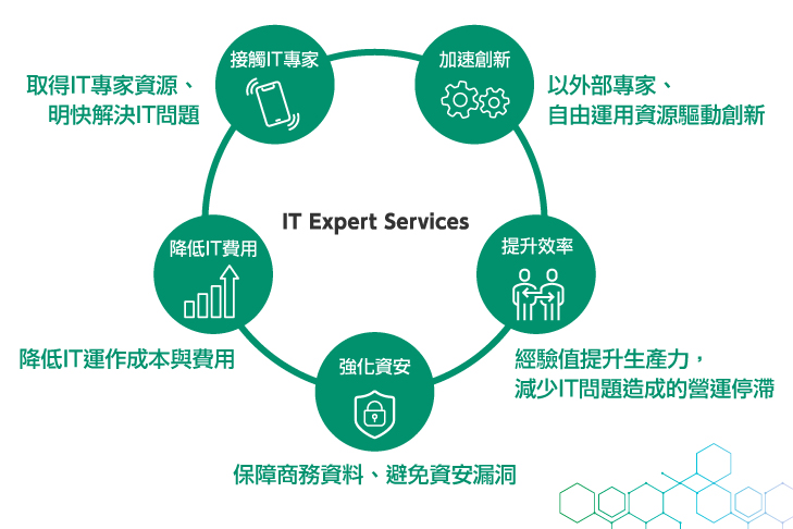 IT Expert Services