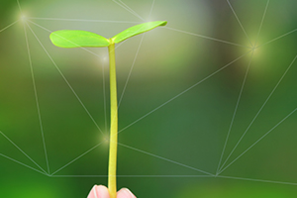 台灣富士軟片資訊