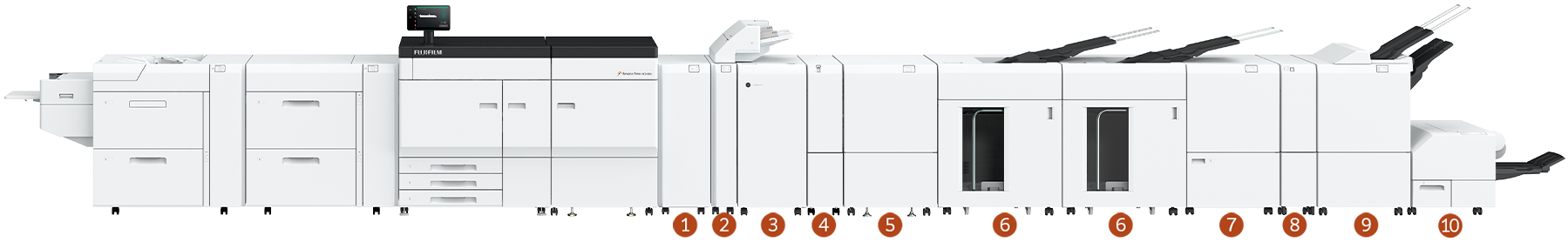 Tùy chọn bản in ra